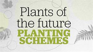 Plants of the future - planting schemes